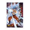 Universal Survival Goku Db Super Poster 3D 58X38 Cm Dragon Ball