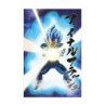 Universe Survival Vegeta Db Super Poster 3D 58X38 Cm Dragon Ball