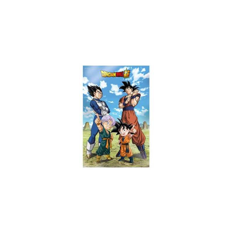 Battle Of Gods Goku Vegeta Family Db Super Poster 3D 58X38 Cm Dragon Ball