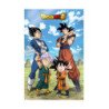 Battle Of Gods Goku Vegeta Family Db Super Poster 3D 58X38 Cm Dragon Ball
