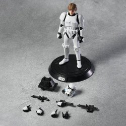 Luke Skywalker Disguise Version Champion Class 04 Model Kit