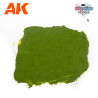 SUELO DE PLAGA – TERRENOS WARGAME – 100ML AK1217