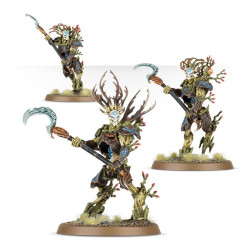 Fuerza de Batalla Sylvaneth: Arboleda Raizrrecia