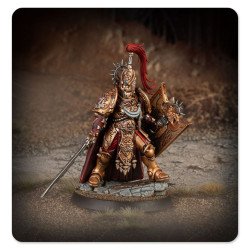 Shield Captain 31-163