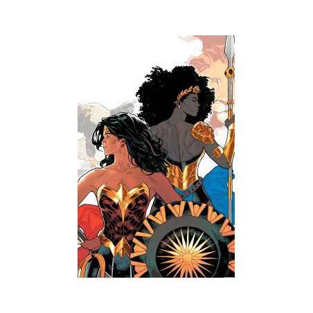 All In Wonder Woman 19