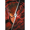 Absolute Flash 10