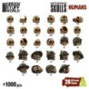 1000x Craneos de Resina 1:48-1:35