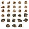 1000x Craneos de Resina 1:48-1:35