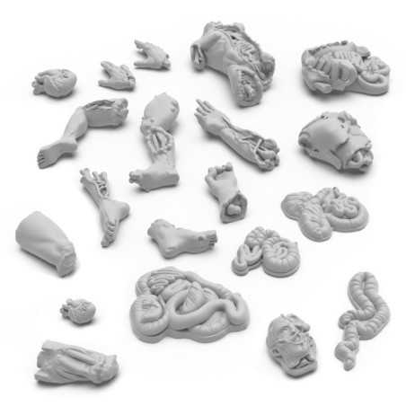 Partes de cuerpos mutilados 1:48