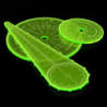 Plantillas de explosión wargames - Verde Fluor
