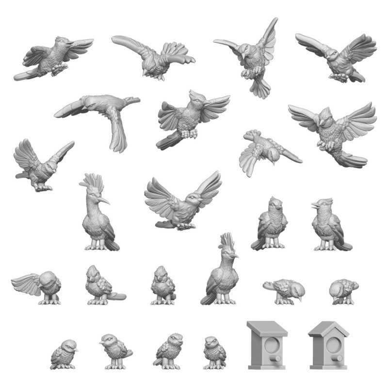 Pájaros silvestres 1:48-1:35