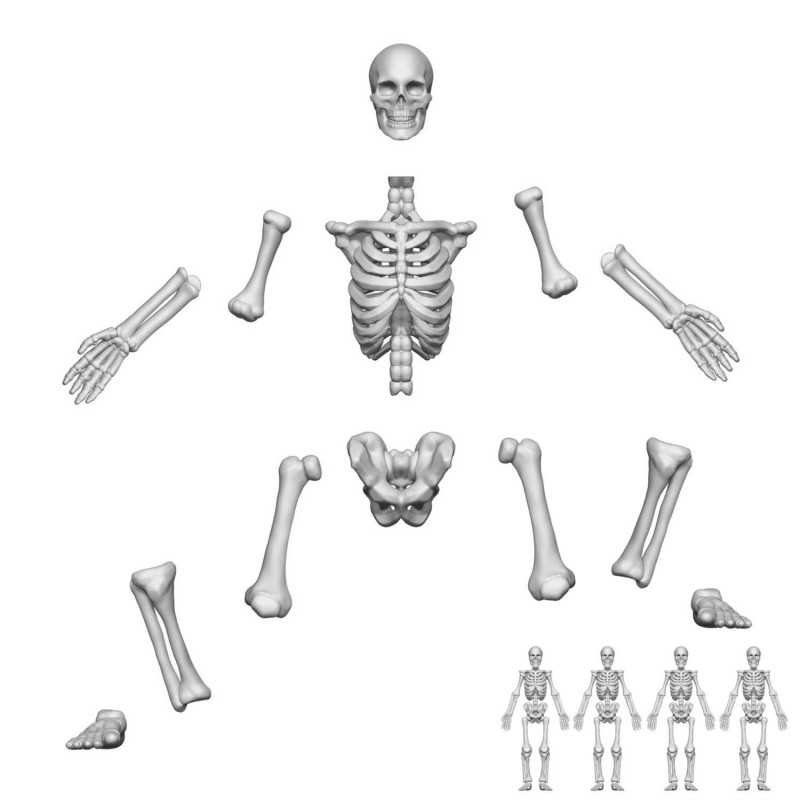 Esqueletos humanos posicionables 1:48