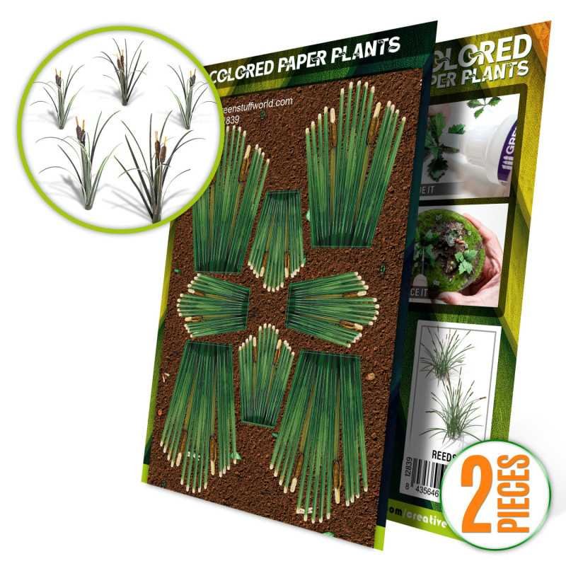 Plantas de Papel Coloreadas - Juncos