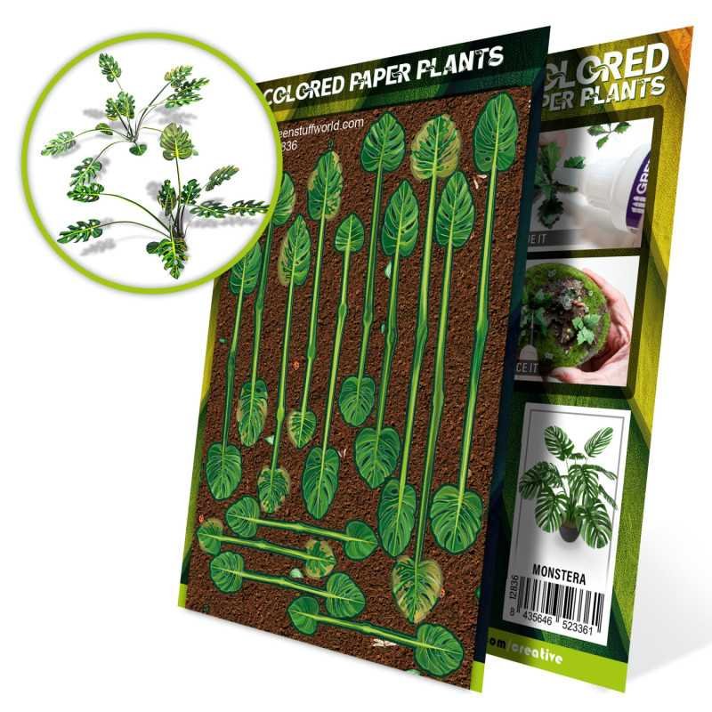 Plantas de Papel Coloreadas - Monstera