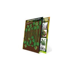 Plantas de Papel Coloreadas - Monstera