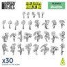 Planta Monstera 1:48-1:35