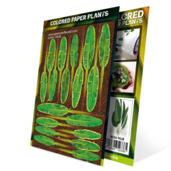 Plantas de Papel Coloreadas - Plataneros