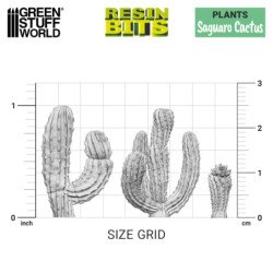 Cactus Saguaro 1:48-1:35