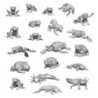 Ranas y Sapos 1:48-1:35