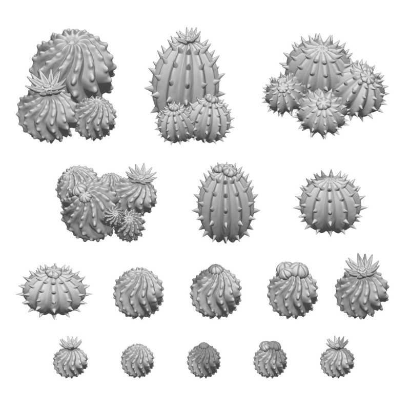 Cactus barril 1:48-1:35