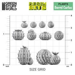 Cactus barril 1:48-1:35