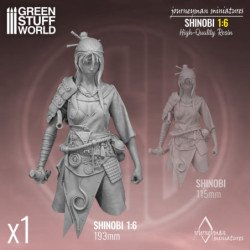 Journeyman Miniatures - Shinobi 1:6
