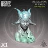 INU KINGDOMS - Silenius