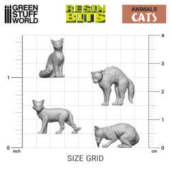 Gatos 1:48