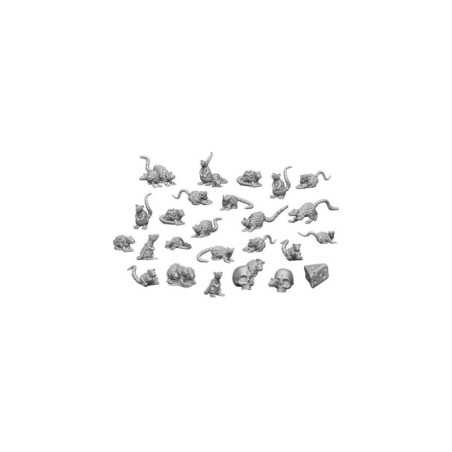 Ratas Pequeñas 1:48-1:35