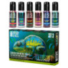 SET Pintura Camaleon - Set 3