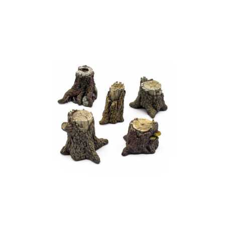 Tocones de Árboles grandes