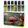 SET Pintura Camaleon - Set 2