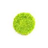 Espuma Follaje Fina - VERDE CLARO - 200ml