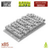 Craneos de Resina 1:48-1:35