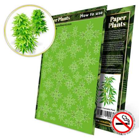 Plantas de Papel - Cannabis
