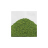 Cesped Electrostatico 4-6mm - SPRING GRASS - 200ml