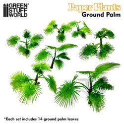 Plantas de Papel - Palmera Suelo