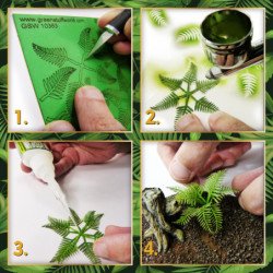 Plantas de Papel - Helechos