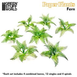 Plantas de Papel - Helechos