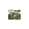 Set SteamPunk RUEDAS ESPIRAL 85 gr.