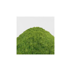 Cesped Electrostatico 9-12mm - SPRING GRASS - 200ml